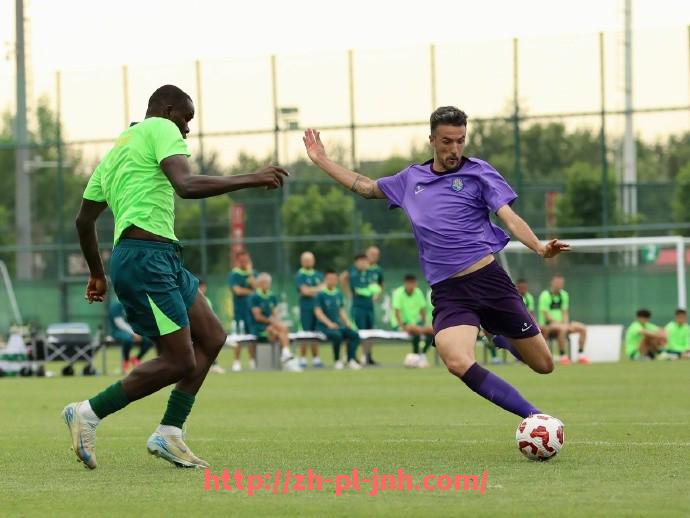 金年会-法甲联赛转播渠道、版权与观赛方式详解