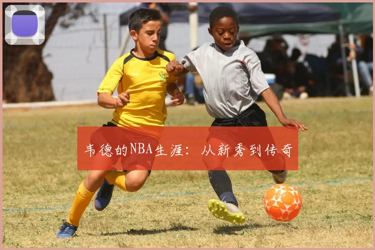 韦德的NBA生涯：从新秀到传奇