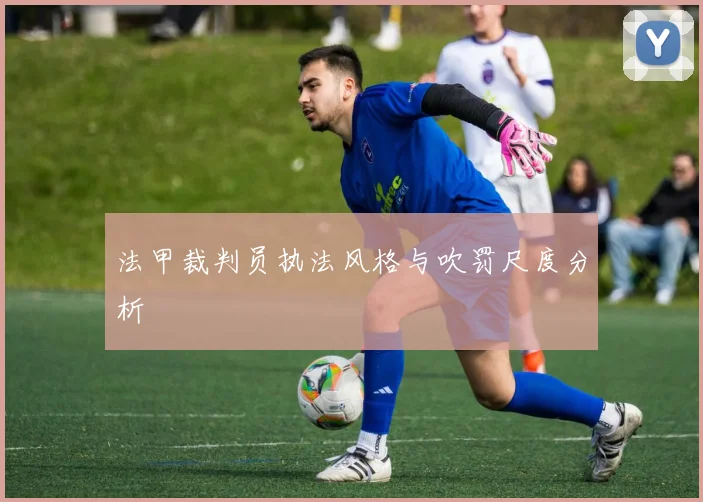 法甲裁判员执法风格与吹罚尺度分析