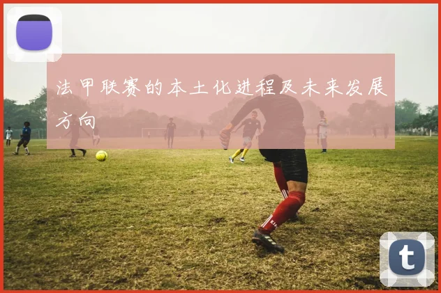 法甲联赛的本土化进程及未来发展方向