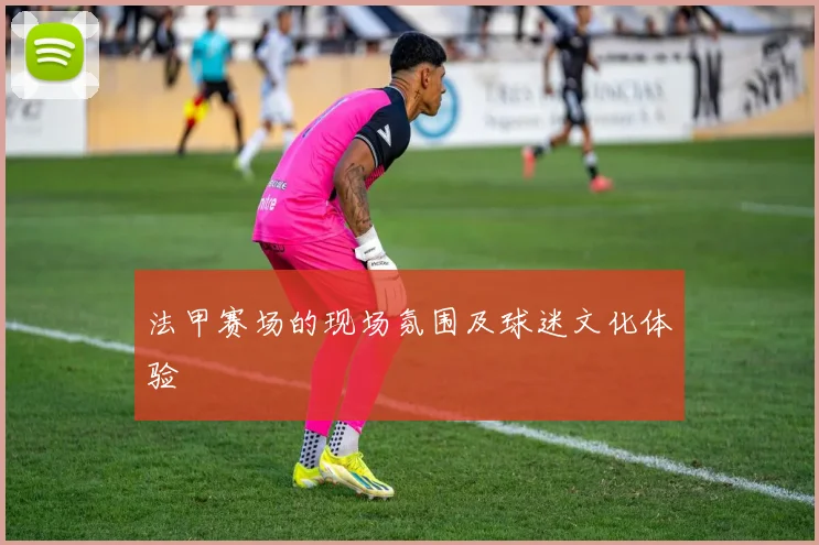法甲赛场的现场氛围及球迷文化体验