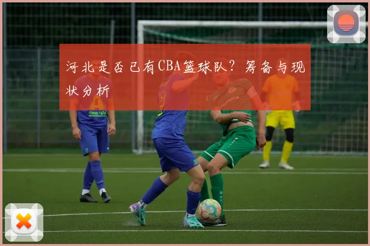 河北是否已有CBA篮球队？筹备与现状分析
