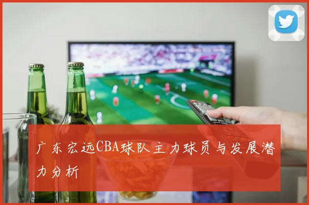广东宏远CBA球队主力球员与发展潜力分析