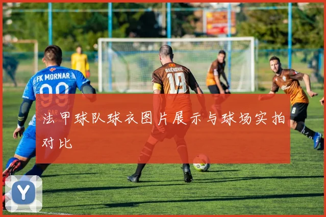 法甲球队球衣图片展示与球场实拍对比
