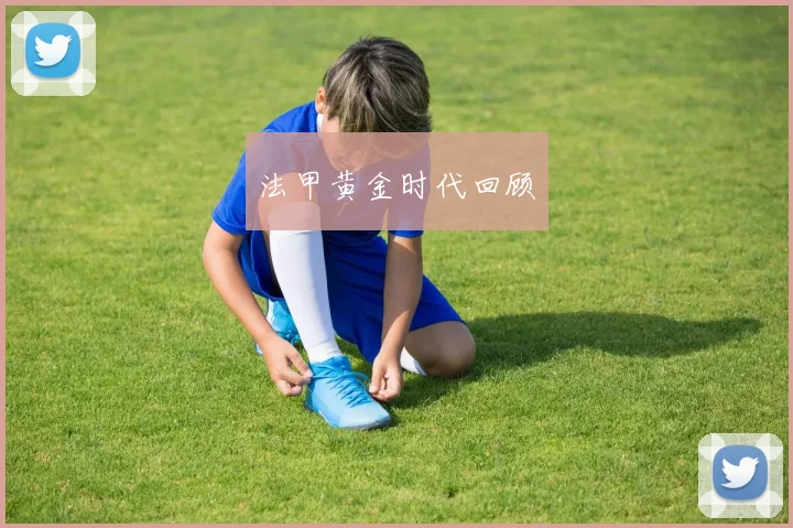 法甲黄金时代回顾