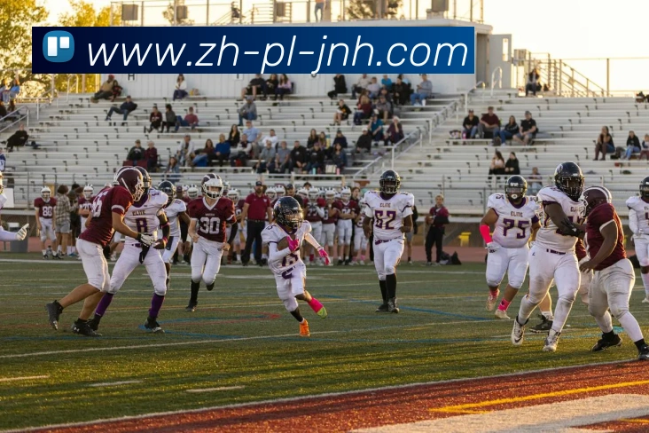 App Interface Preview