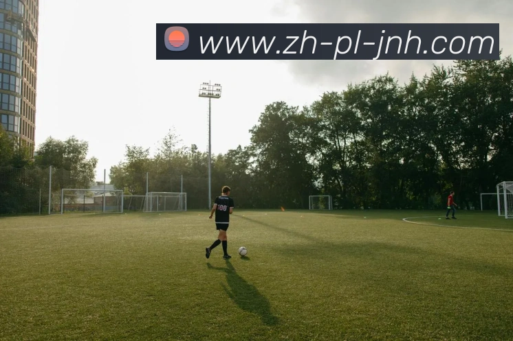 数据防护可视化